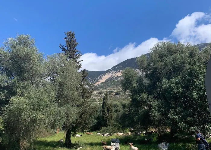 Villa Vista Mare Lourdata Kefalonia